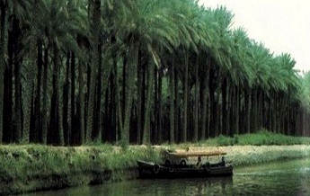 رودخانه اروند رود 