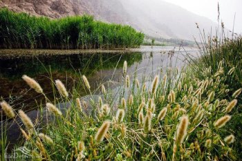 همه چیز درباره تالاب هشیلان