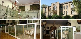 موزه جانورشناسی دانشکده کشاورزی کرج