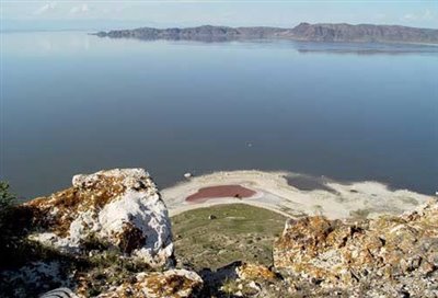 جزیره&zwnj;ی قویون داغی (کبودان) 