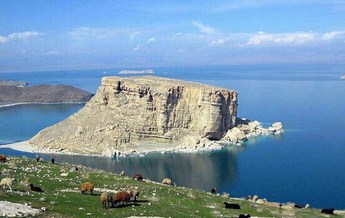 جزیره اسلامی (شاهی) 