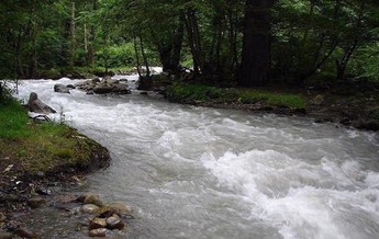 رودخانه&zwnj;ی سیدآوا 