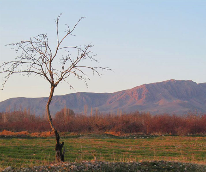 طبیعت روستای تیل