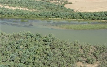 منطقه حفاظت شده کرخه