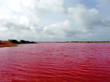 دریاچه صورتی چابهار یا تالاب لیپار کجاست؟