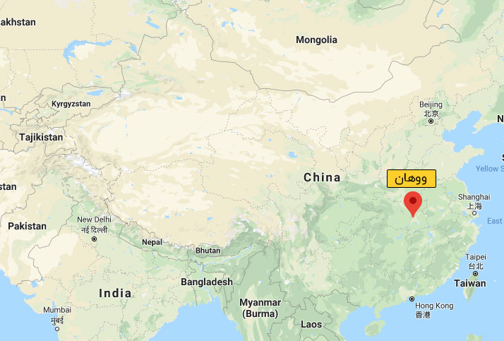 توصیه های سازمان بهداشت جهانی برای سفر در شرایط شیوع کرونا ویروس