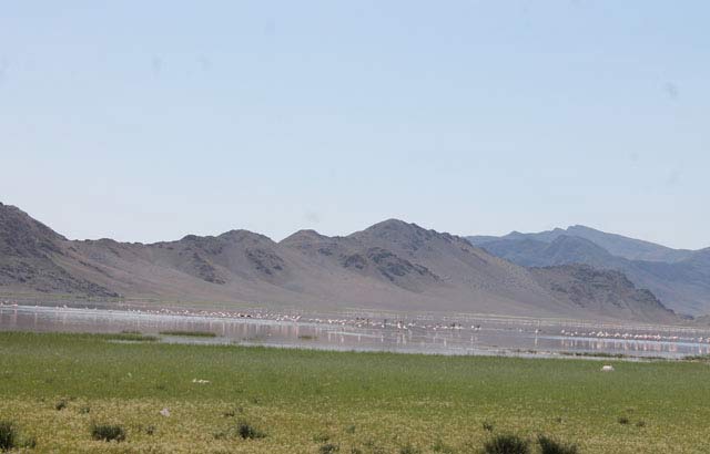 تالاب&zwnj;ها و مرداب&zwnj;های آذربایجان غربی