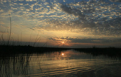 تالاب شادگان شهر شادگان