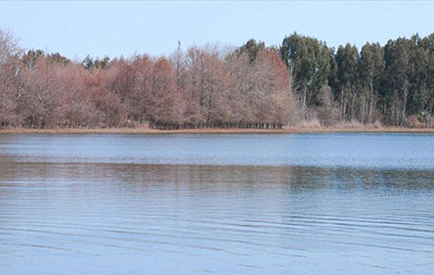 تالاب لپو و پلنگان شهر نکا