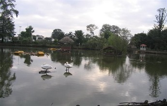 چشمه آب شور لاکان 