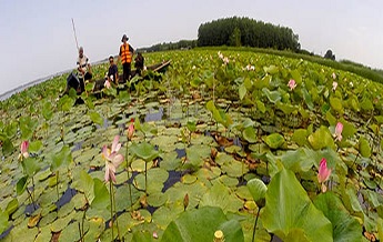 تالاب انزلی 