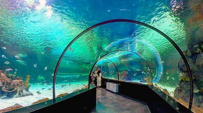 آکواریوم اصفهان