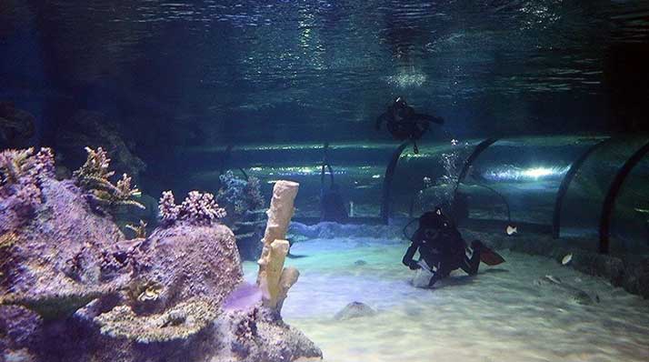 اصفهان آکواریوم