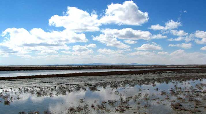تالاب گاوخونی اصفهان