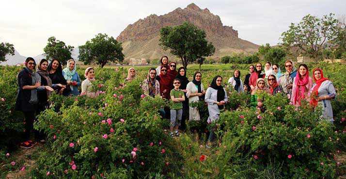 تور گلاب گیری کاشان