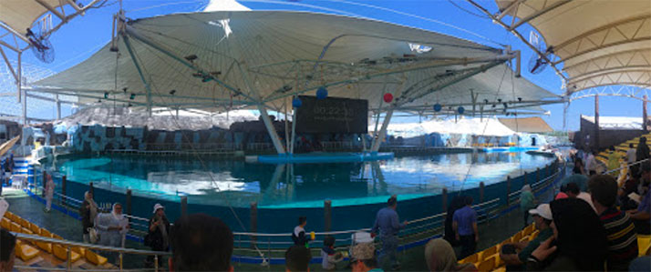 پارک دلفین کیش