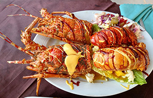 بهترین رستوران های کیش کدامند ؟