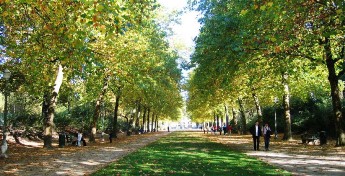 پارک ملت مشهد