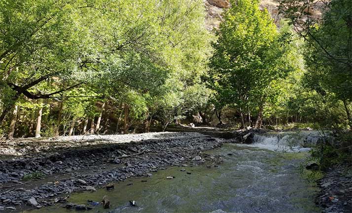 بوستان طبیعت پردیس شاندیز