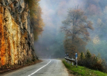 جنگل دالخانی؛ دالان بهشت در قلب طبیعت رامسر