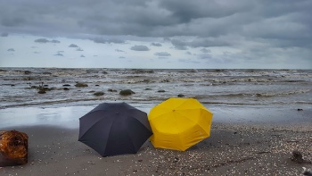 کشف زیبایی های پنهان سواحل شمالی ایران