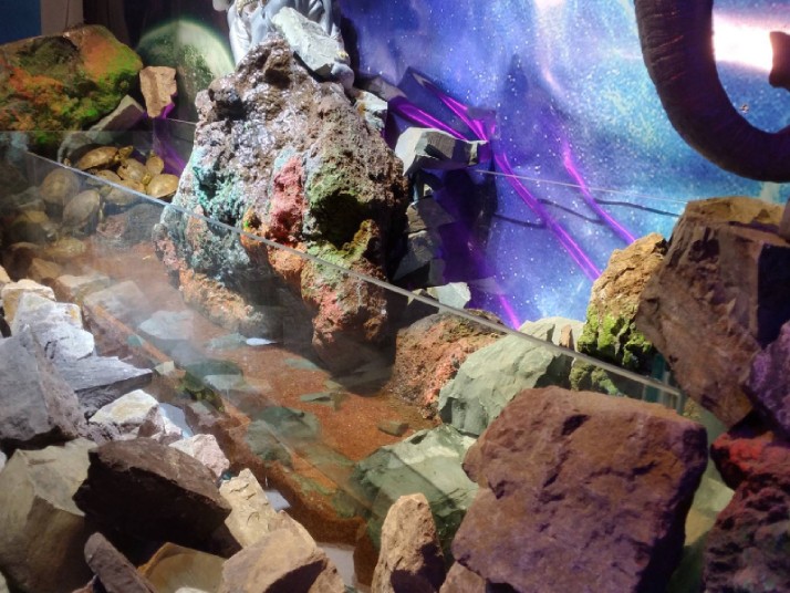 آکواریوم تهران