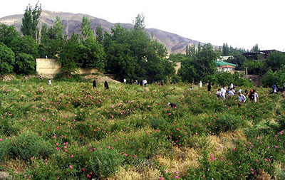 روستای قمصر شهر کاشان