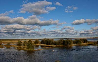 روستای حسن کیاده شهر آستانه اشرفیه 