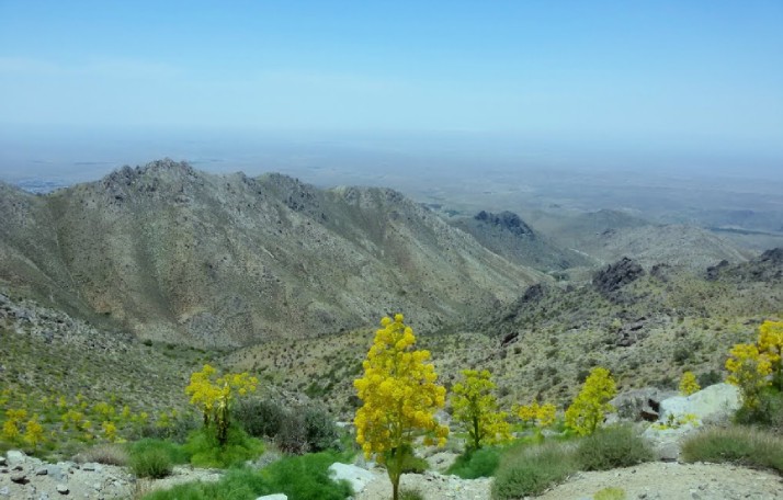 پاریز کجاست؟