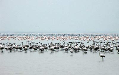 روستای زاغمرز شهر نکا