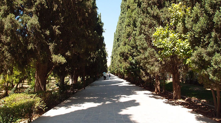 محوطه باغ ارم شیراز