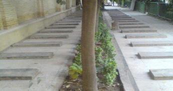 بقعه چهل تنان شیراز