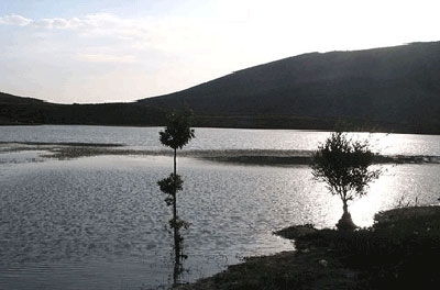 گردشگاه های فارس