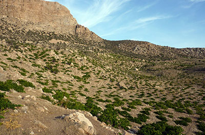 کوه های فارس