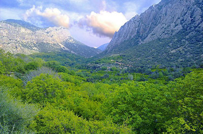 تنگ بوان فارس