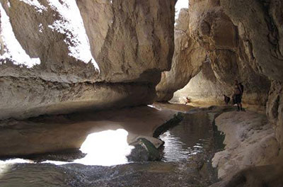 تنگ های فارس