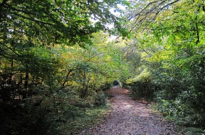 مجموعه تفریحی توریستی جنگل سی&zwnj;سنگان شهر نوشهر