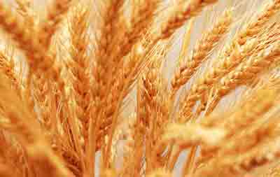 جشن تیرماه سیزده