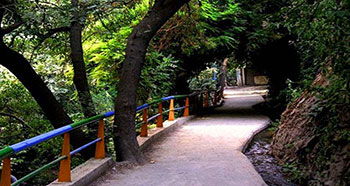 کوه درکه تهران