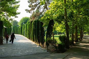 پارک ساعی تهران