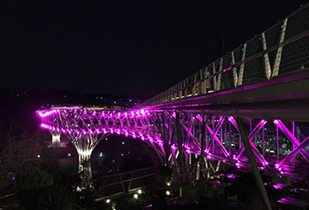 پل طبیعت تهران