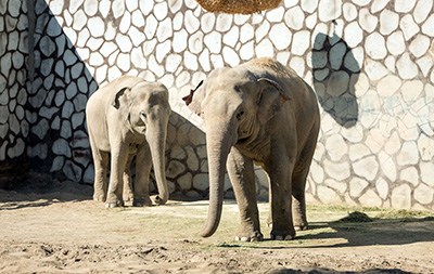 باغ وحش تهران