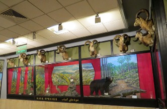 موزه تنوع زیستی تهران