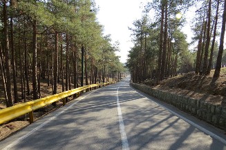 پارک جنگلی چيتگر تهران