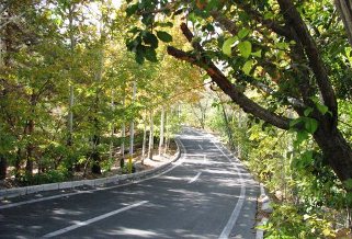 پارک جنگلی لویزان 