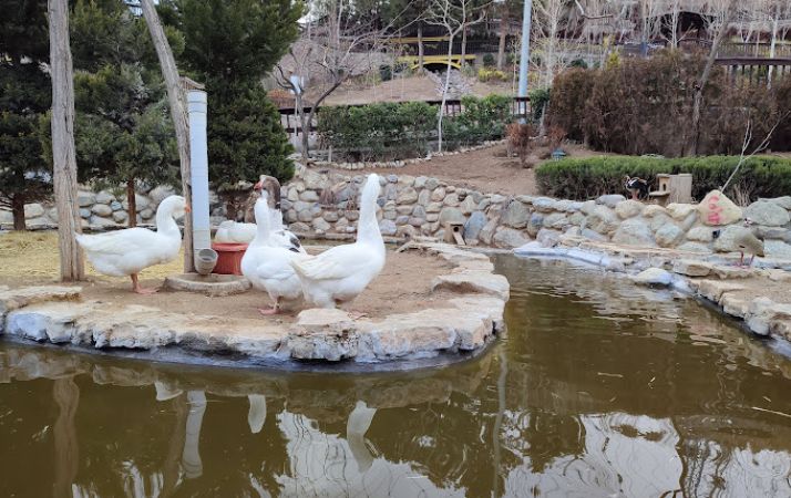 باغ پرندگان