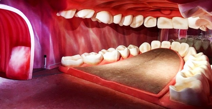 هیومن پارک تهران